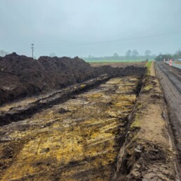 Bedargowo1 scaled uai